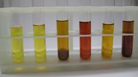 Bild von 6 Reagenzgläsern mit unterschiedlich gefärbten Urinproben nach Zugabe von Reagenzien
